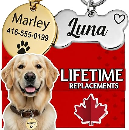 Dog Tags Personalized (Canada Lifetime Replacements) Deep Engraved on Both Side (3 Size Available) - Médaille Custom Pour Chiens et Chats Personnalisée (Small, Silver)